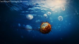 89. Древо жизни (2010)