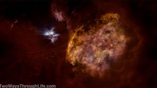 90. Древо жизни (2010)