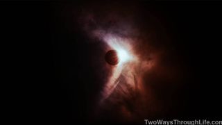 94. Древо жизни (2010)