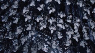 47. Стальной алхимик (2017)