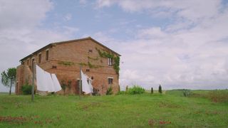 50. Стальной алхимик (2017)