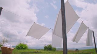 53. Стальной алхимик (2017)