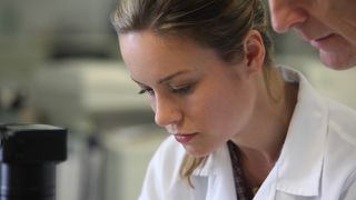 12. Восточная сказка (2017)