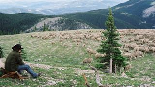 14. Горбатая гора (2005)