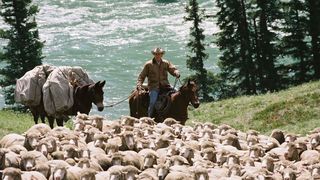 48. Горбатая гора (2005)