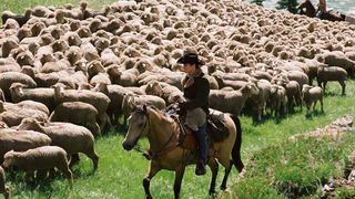 57. Горбатая гора (2005)