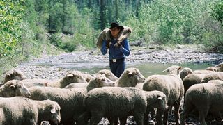 67. Горбатая гора (2005)