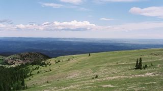 80. Горбатая гора (2005)