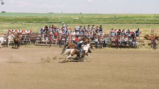 82. Горбатая гора (2005)