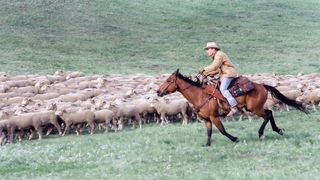 85. Горбатая гора (2005)