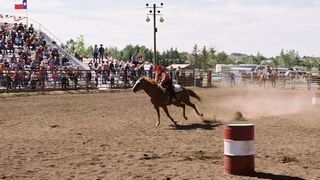 87. Горбатая гора (2005)