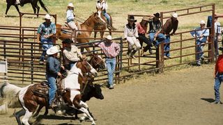 93. Горбатая гора (2005)