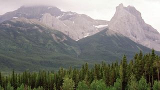 95. Горбатая гора (2005)