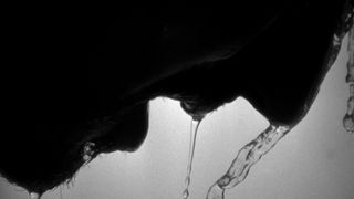 38. Американская история X (1998)