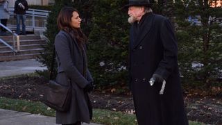 23. Штамм (2014 — 2017)