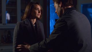 31. Штамм (2014 — 2017)