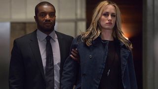 63. Штамм (2014 — 2017)