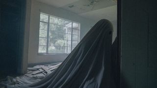 22. История призрака (2017)