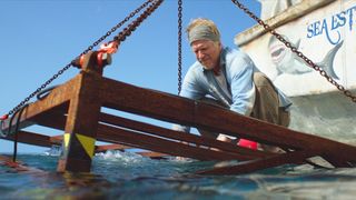 16. Синяя бездна (2017)