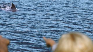 18. Синяя бездна (2017)