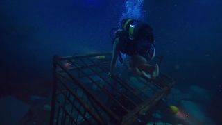 28. Синяя бездна (2017)