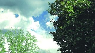 22. Приют (2007)