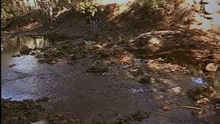 39. Ведьма из Блэр: Курсовая с того света (1999)