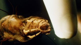 23. Факультет (1998)