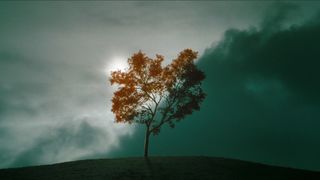 51. Звонок (2002)