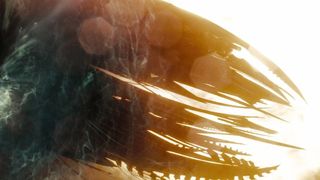 110. Звездный путь (2009)