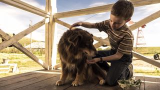 14. Невероятное путешествие мистера Спивета (2013)