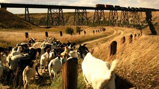 21. Невероятное путешествие мистера Спивета (2013)