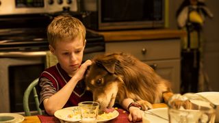 8. Невероятное путешествие мистера Спивета (2013)