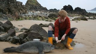 3. Сияние радуги (2009)