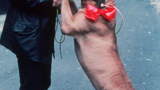 52. Рокки (1976)
