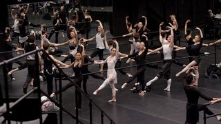 15. Чёрный лебедь (2010)