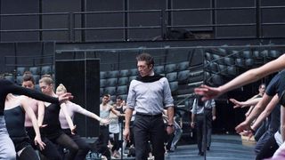 18. Чёрный лебедь (2010)