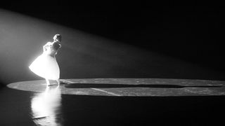 24. Чёрный лебедь (2010)