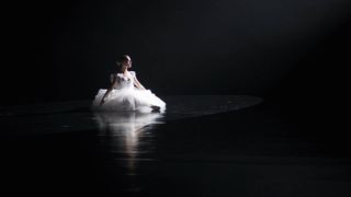 26. Чёрный лебедь (2010)