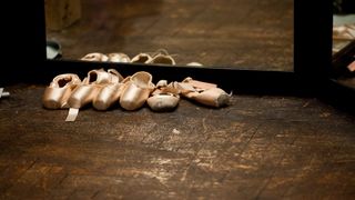 27. Чёрный лебедь (2010)