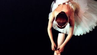 29. Чёрный лебедь (2010)