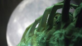 44. Чёрный лебедь (2010)