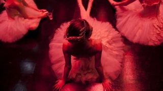 71. Чёрный лебедь (2010)