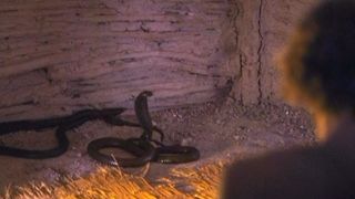 22. Последнее искушение Христа (1988)