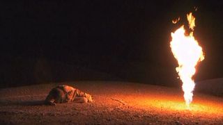 30. Последнее искушение Христа (1988)