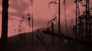 23. Носферату, симфония ужаса (1922)