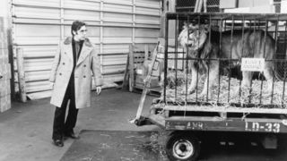 19. Донни Браско (1997)