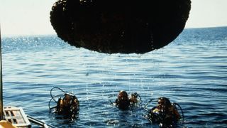 14. Кокон (1985)