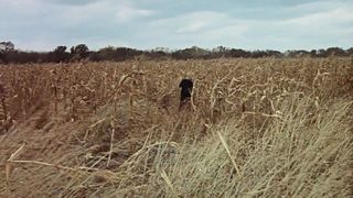 111. Бонни и Клайд (1967)