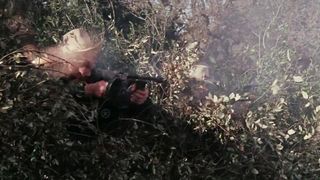 77. Бонни и Клайд (1967)